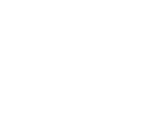 Desi Drama Queen Logo
